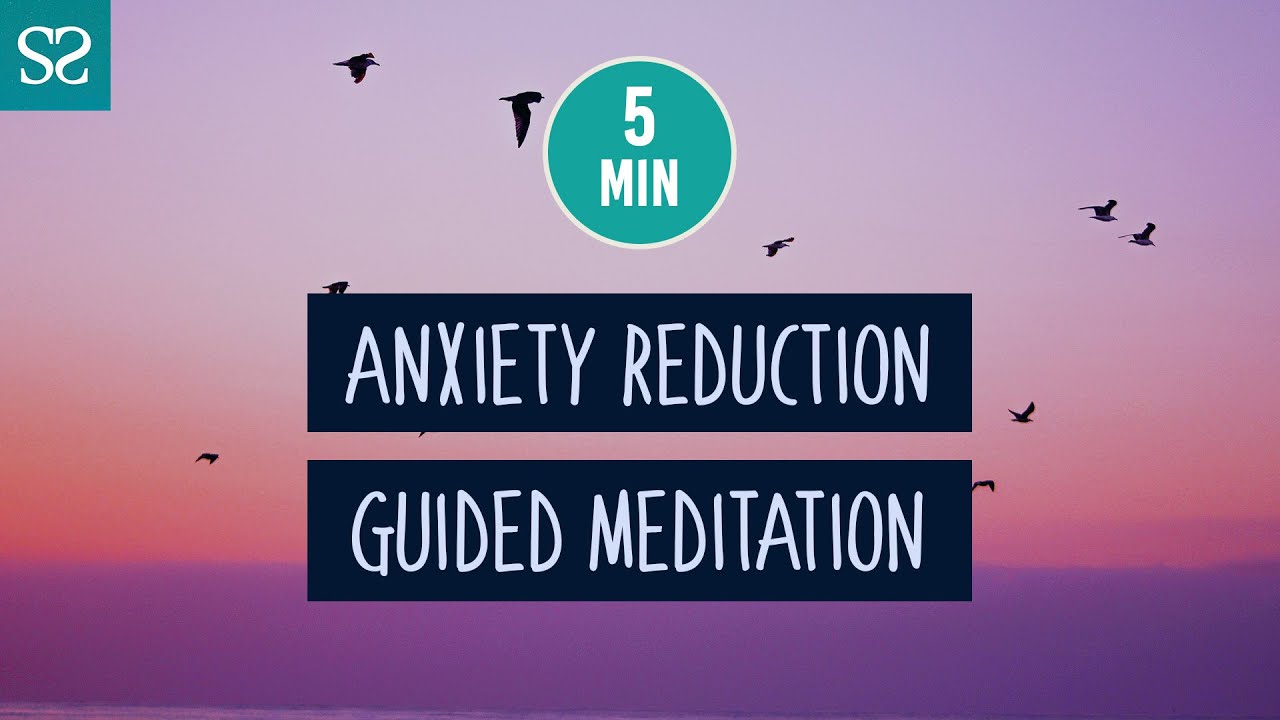 5 Minute GUIDED MEDITATION | Reduce Anxiety Quickly | Mindfulness Mini ...