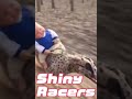 Shiny Racers #shorts