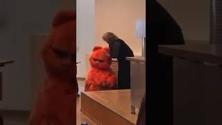 Кот пришел сдавать зачет