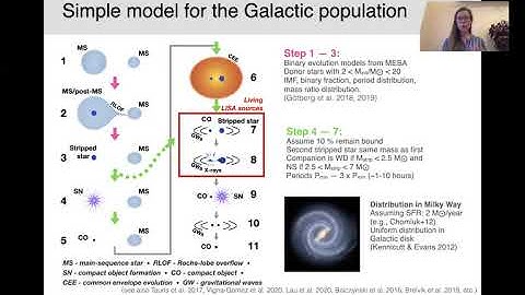 Stars stripped in binaries - the living gravitational wave sources