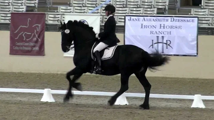 Dimer Fan Lutke Peinjum & Karen Cornelius - USDF 4...