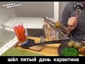 Карантин - какие в этом возможности? БОМБА!