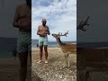 Deer Headbutts Man In The Ribs 😱🦌