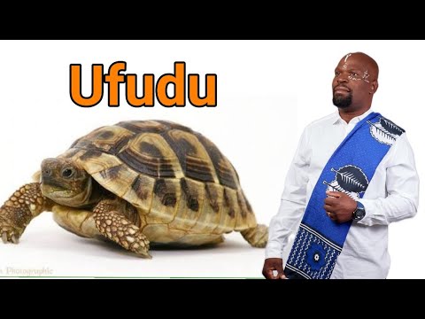 Ufudu Liyawenza Umuthi | Dr Mnguni