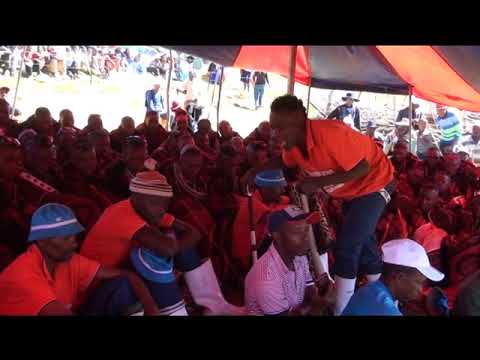 Phephela: Ha e loana ea ts'abeha, Sefateng Part_2