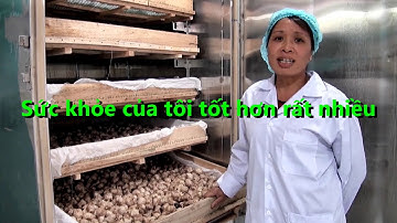 Tỏi đen là gi ? 7 Tác dụng của tỏi đen BKST mà bạn chưa từng biết