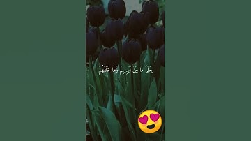 القران الكريم /ايه الكرسي