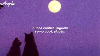 the neighbourhood; reflections [legendado]