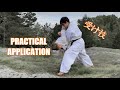 Uke waza applications  basic karate blocks bunkai 1