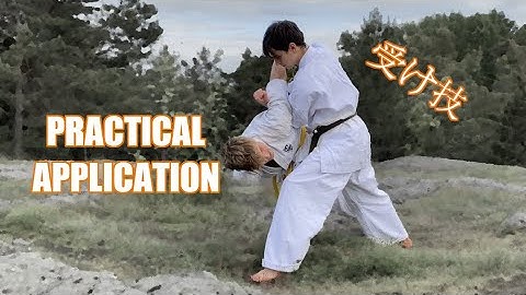 Uke Waza Grappling Applications | Basic Karate 