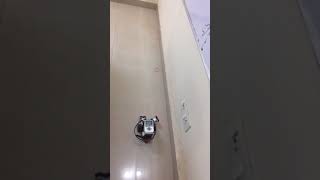 Wall following Robot using EV3 by incrediminds Robotics
