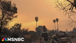 'Apocalyptic': Pasadena fire chief describes devastation