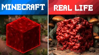 Minecraft Ultimate Comparison with Real Life 😮