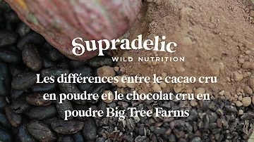 Quelle est la différence entre le cacao et le chocolat ?