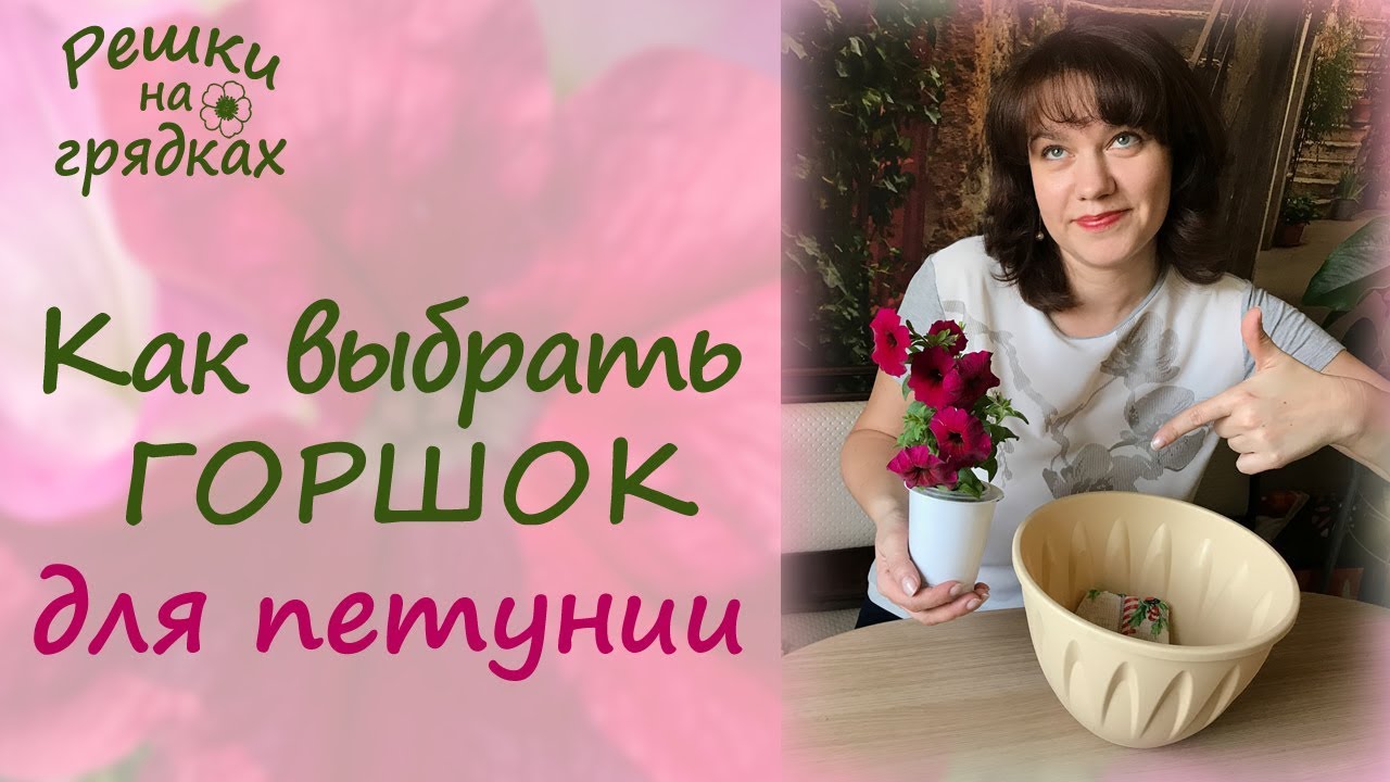 Не ошибитесь с выбором кашпо для петуний!!!
