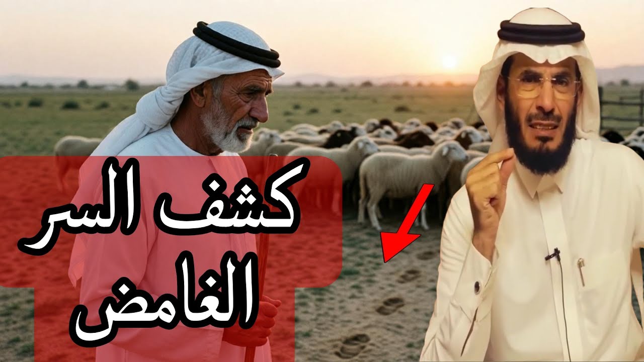 علي التميمي : اختفت أغنامه ليلًا… وما وجده لا يُصدّق