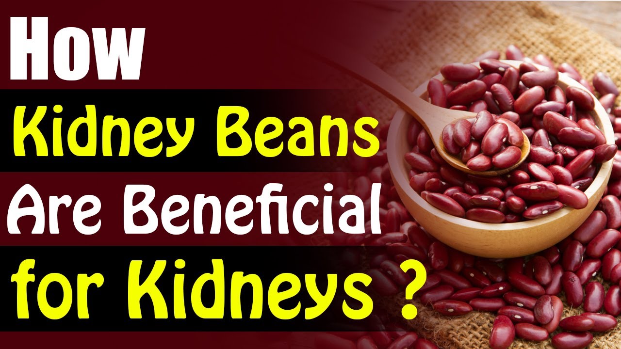 are-kidney-beans-beneficial-for-kidneys-kidney-patient-diet-2020