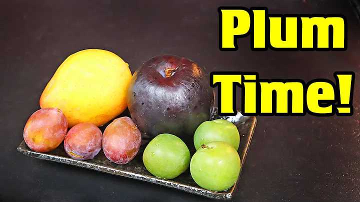 ALL ABOUT PLUMS! Trying a Greengage, Lemon Plum, S...