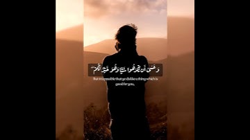 وعسي ان تكرهوا شيئا وهو خير لكم ، سورة البقرة ، القارئ مشاري راشد العفاسي