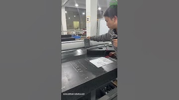 XY Linear Gantry System, XY Linear Gantry robot,Motorized XY Tables,XY Cartesian Gantry Robots