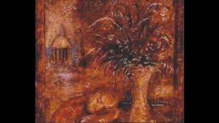 Video thumbnail of "Mewithoutyou - The cure for the pain is in the pain"