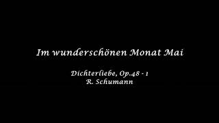 Im wunderschönen Monat Mai [Dichterliebe, Op.48] R.Schumann 피아노반주 Accompaniment