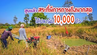 สูบแล้วสระในตำนานที่มีการถามถึงมากที่สุด สระเล็กๆปลานับ 10,000 ตัว