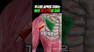 [99%] 💪🏻가슴 근육 &#39;5일&#39; 완성  (feat. 미국 과학자들, 의사들, 논문)