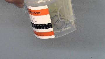 ALLTEST 10 in 1 split key cup drug testing kit part 4 results