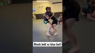 Black belt vs blue belt sparring #jiujitsu #adcc #bjj #mma #wrestling #ufc #brazilianjiujitsu #nogi