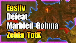 Easily Defeat Marbled Gohma: Zelda TotK