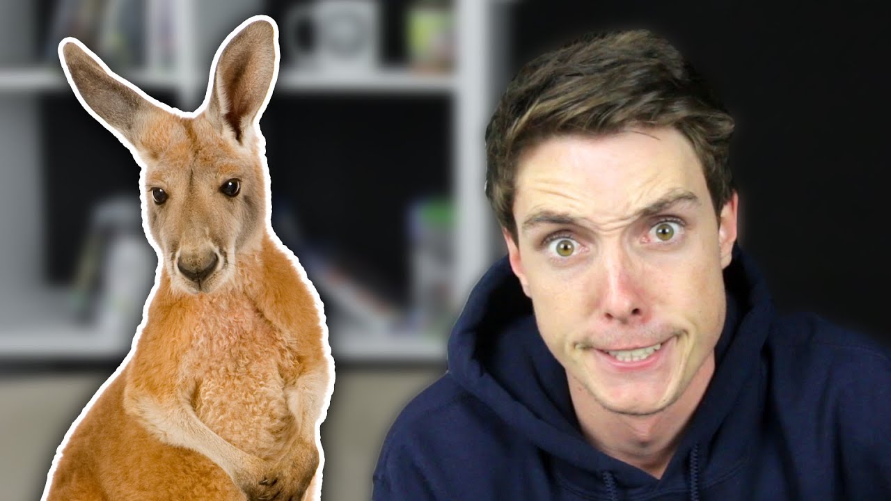 I LOVE MY KANGAROO! - Reading Comments With LazarBeam #2 - YouTube