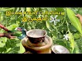 புத்துணர்ச்சி தரும் காலை உணவு! | எனது அரண் | #enathuaran #villagecooking