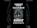 528 Hz Frequency Pure Tone Meditation