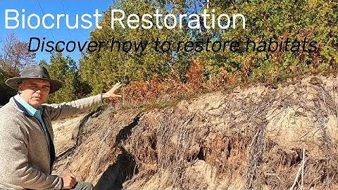 Unseen Worlds: The Vital Role of Biocrusts in Ecosystem Restoration