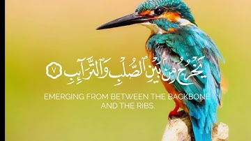 والسماء والطارق _ سورة الطارق  _ القارئ محمد اللحيدان - #ارح_سمعك 🎧🩵