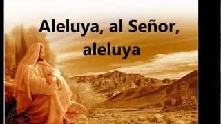 Vignette de la vidéo "Canciones para Eucaristía - aleluya al Señor, aleluya.wmv"