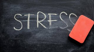 видео: 🙅♀️🙅♂️👌Способы справиться со стрессом и тревогой: рекомендации клинического психолога🙅♀️🙅♂️👌 картинка: 🙅♀️🙅♂️👌Способы справиться со стрессом и тревогой: рекомендации клинического психолога🙅♀️🙅♂️👌