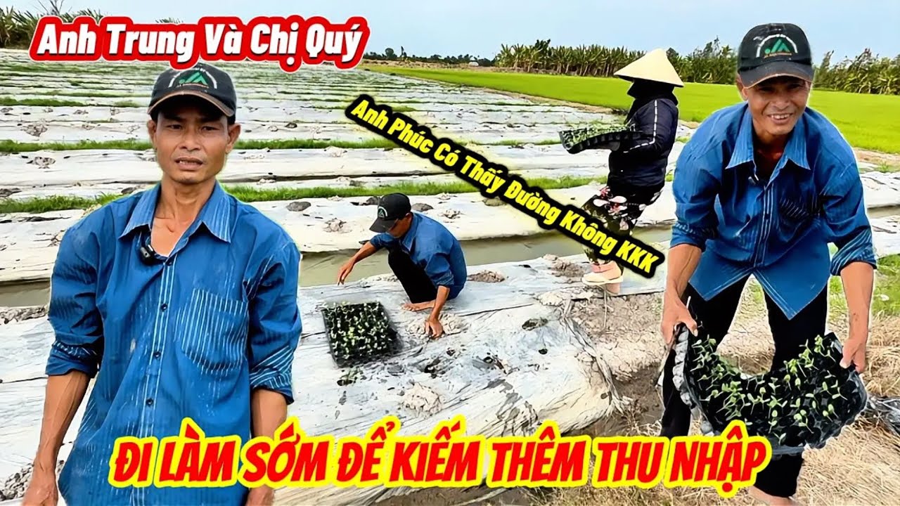 Trung Và Quý tiến hành đi làm sớm kiếm thêm thu nhập và chuẩn bị ra chợ buôn bán 