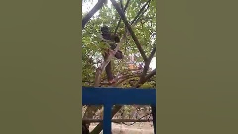 ANAK KETALANG CARI SERI BOCANGAPAKYA