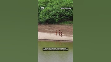 Rare sighting of an uncontacted indigenous tribe in Peru | ABC News