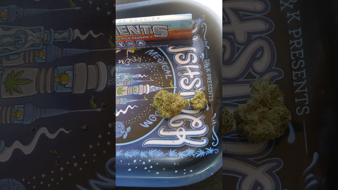 Rollin up last .75 of 🍌 Runtz from Synergy