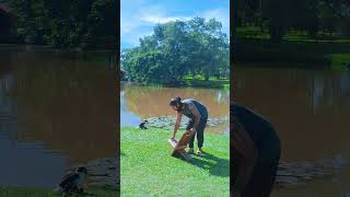 Banco Viking Portátil