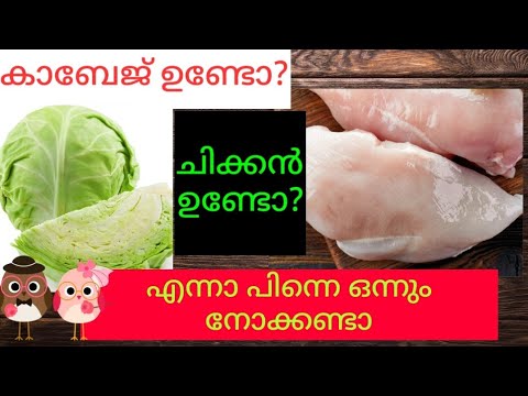 Cabbage with chicken snack/Healthy snack /keto version