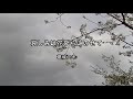 2025-4-11 哀しみは花びらにのせて/葛城ユキ