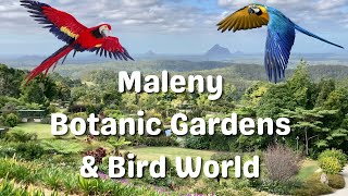 Maleny Botanic Gardens &amp; Bird World, Sunshine Coast I Queensland, Australia Travel Vlog 155, 2023