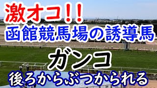 2021 函館競馬場の誘導馬 ガンコ 激怒る!! 現地映像