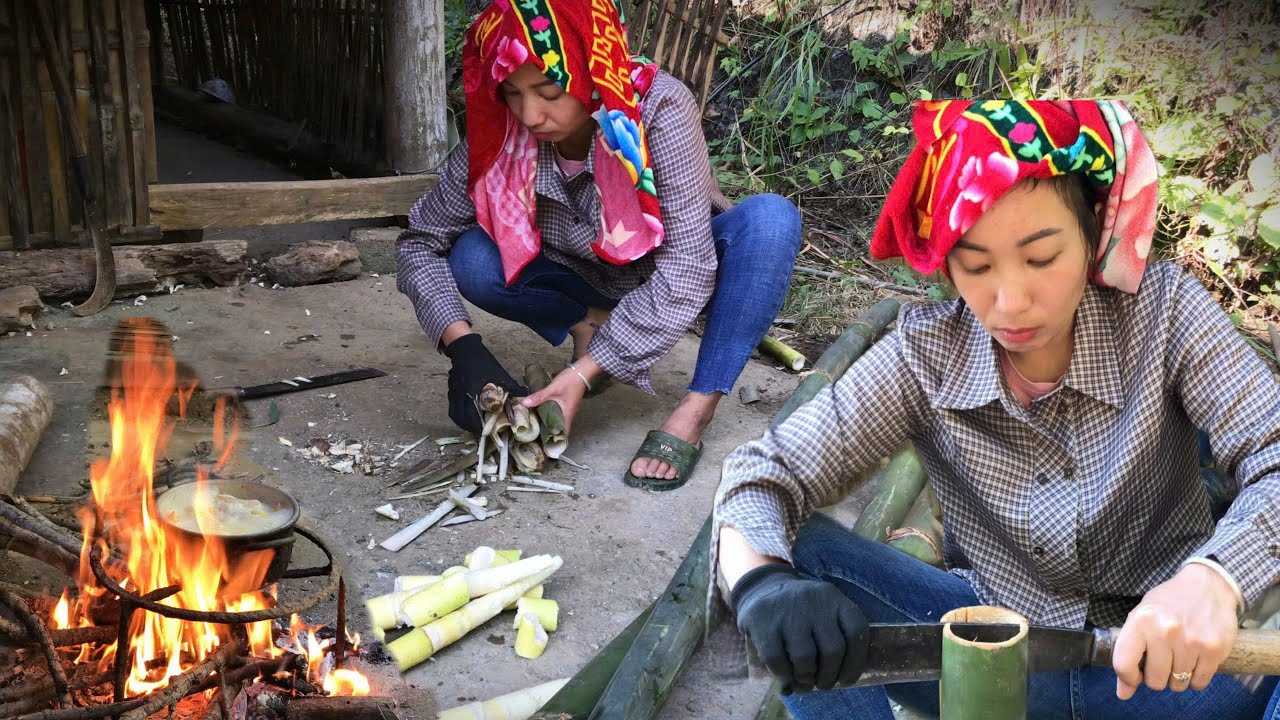 Single mother goes into the forest alone Cut Bamboo to Make Knife ...