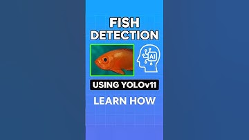 Fish Detection with YOLOv11 in 60 Seconds! #YOLOv11 #ObjectDetection #MachineLearning #ai