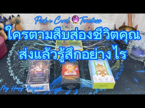 ใครตามสืบสองชีวิตคุณส่องทำไม❤️Pick a Card 🔮Timeless